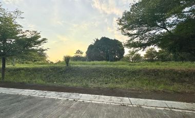 Alegria Hills Phase 2 Residential Lot 459 sqm