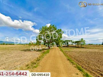 Land for Sale, San Khong, 22 rai 66 sq.w., Dok Khamtai, Phayao, DD-095410
