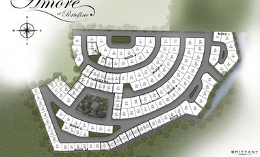 Prime Residential Lot for Sale in Amore at Portofino, Las Piñas City