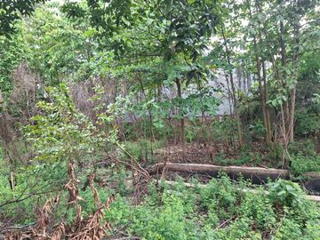 INVESTOR WAJIB LIHAT! Tanah Luas 2.000m² Main Road Sumarecon Bekasi