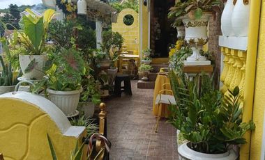 House and Lot for Sale in Camella , Talisay City , Cebu