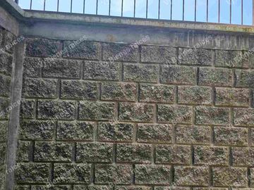 RENTO  HERMOSA  CASA    RECAMARA  EN PLANTA BAJA ACEPTA  MASCOTA  RAZA PEQUEÑA