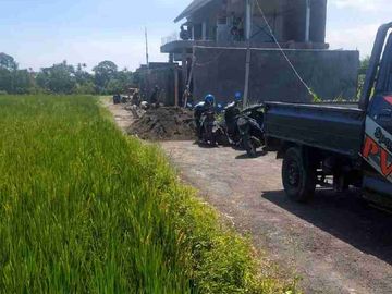 JUAL tanah di Kedungu Bali