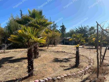 Gran oportunidad de inversión, Algarrobo