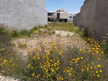 EXCELENTE TERRENO EN SAN ANGEL V $2,240,000