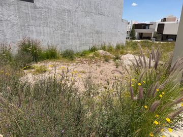 EXCELENTE TERRENO EN SAN ANGEL V $2,240,000