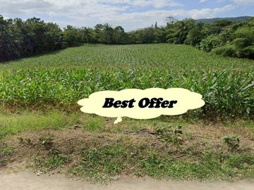 RUSH! FARM LOT FOR SALE in Batangas Philippines