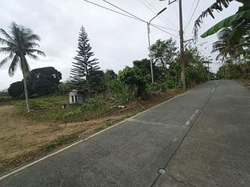 Residential Farm Lot for Sale in Amadeo Cavite Near Acienda Outlet Mall