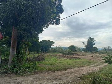 Residential Farm Lot for Sale in Amadeo Cavite Near Acienda Outlet Mall