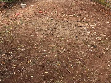 Sedang Di Bangun Rumah Dijual Di Cilangkap Non Cluster Cipayung Jakarta
