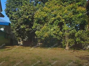 Residential Lot in Oro Vista Royale Executive Village (along Marcos Highway, beside SM Downtown Antipolo) For Sale