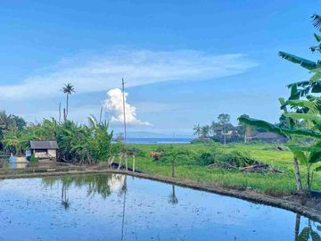 Tanah ocean sea pantai rangkan ketewel gianyar