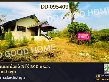 Land for sale in Makham Chae, Mueang Lamphun, 3 Rai 390 Sq.Wa, DD-095409