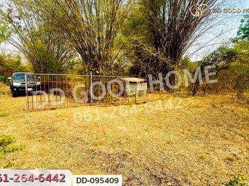 Land for sale in Makham Chae, Mueang Lamphun, 3 Rai 390 Sq.Wa, DD-095409