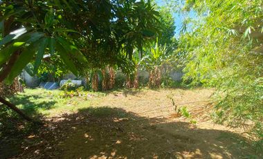 Lot for sale in Catarman,Liloan along sea frontage facing Silot Bay