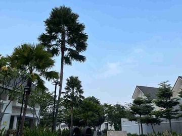Rumah Adem Terawat di Summarecon Bandung Cluster Amanda