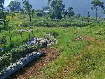 DIJUAL TANAH UNTUK VILLA & KEBUN