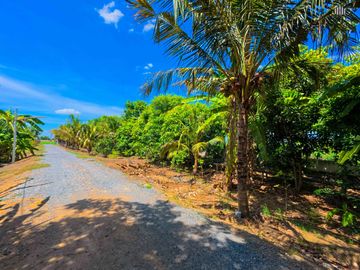 Urgent Sale! Waterfront Resort-Style Land with 5 Guest Rooms A shady atmosphere nestled amidst a fruit orchard. Total usable area of over 4.5 Rai.