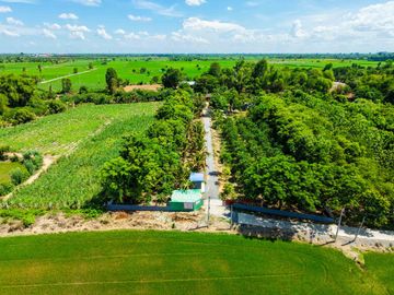 Urgent Sale! Waterfront Resort-Style Land with 5 Guest Rooms A shady atmosphere nestled amidst a fruit orchard. Total usable area of over 4.5 Rai.