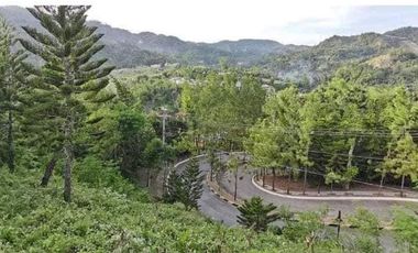 Rush Residential Lot for Sale in Riverdale Siubdivision , Talamban , Cebu