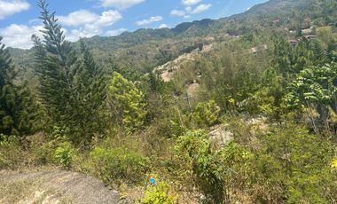 Rush Residential Lot for Sale in Riverdale Siubdivision , Talamban , Cebu