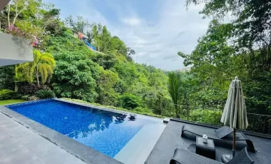 Luxury Mansion for Sale in Maria Luisa Estate Park, Cebu City