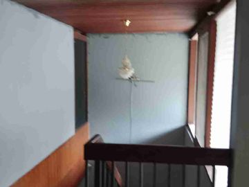 Rumah Murah Dan Siap Huni di Ancol Timur