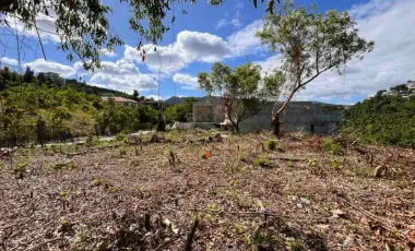 Overlooking Residential Lot for Sale in Maria Luisa Estate Park, Cebu City