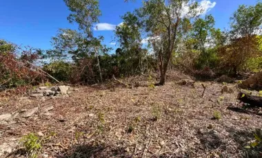 Overlooking Residential Lot for Sale in Maria Luisa Estate Park, Cebu City