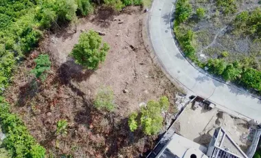 Overlooking Residential Lot for Sale in Maria Luisa Estate Park, Cebu City