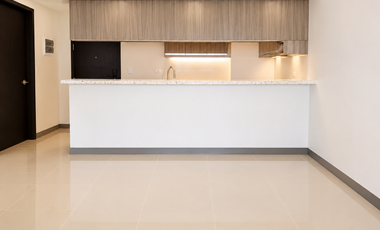 Brand New Condo for Sale in BGC Fort Bonifacio Taguig City at Park McKinley West
