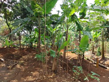 jual tanah siap huni harga NJOP
