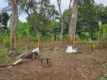 jual tanah siap huni harga NJOP