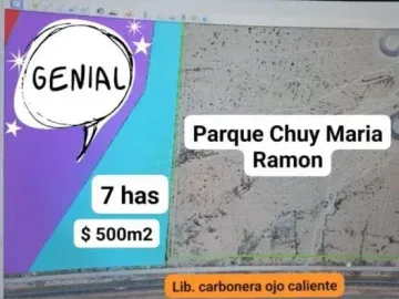 Terreno en Venta 7 Has Junto a Parque Industrial