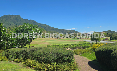 LOT FOR SALE: 583sqm Brookside Residential Lot in Calamba Laguna - Ayala Greenfield Estates