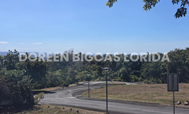LOT FOR SALE: 832sqm Brookside Residential Lot in Calamba Laguna - Ayala Greenfield Estates