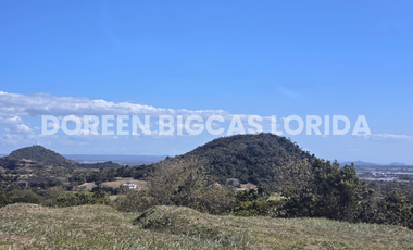 LOT FOR SALE: 832sqm Brookside Residential Lot in Calamba Laguna - Ayala Greenfield Estates