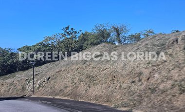 LOT FOR SALE: 832sqm Brookside Residential Lot in Calamba Laguna - Ayala Greenfield Estates