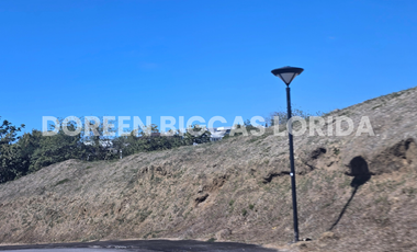 LOT FOR SALE: 832sqm Brookside Residential Lot in Calamba Laguna - Ayala Greenfield Estates