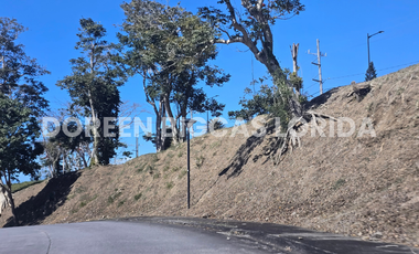 LOT FOR SALE: 832sqm Brookside Residential Lot in Calamba Laguna - Ayala Greenfield Estates