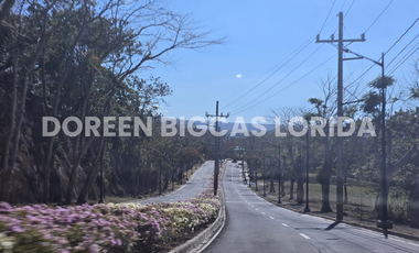 LOT FOR SALE: 832sqm Brookside Residential Lot in Calamba Laguna - Ayala Greenfield Estates