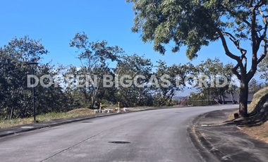 LOT FOR SALE: 832sqm Brookside Residential Lot in Calamba Laguna - Ayala Greenfield Estates