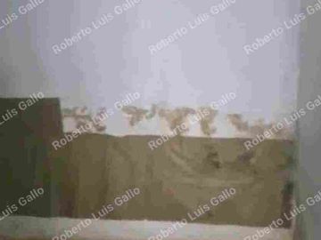 Vendo casa 1er. piso para remodela en palos verdes