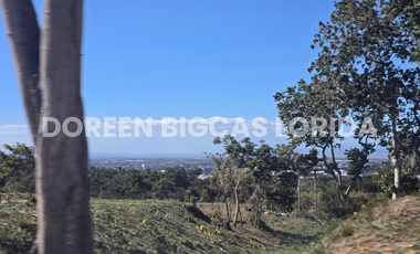 LOT FOR SALE: 600sqm Brookside Residential Lot in Calamba Laguna - Ayala Greenfield Estates
