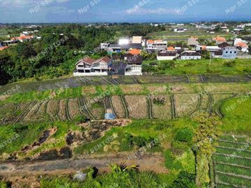 Tanah Pantai Kedungu View Sawah lingkungan villa