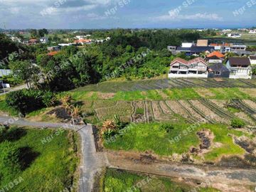 Tanah Pantai Kedungu View Sawah lingkungan villa