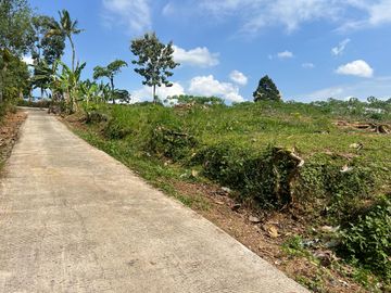Tanah 1600m² Cocok Bangun Rumah Karanganyar