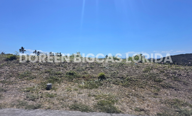 FOR SALE: 702sqm Village Residential Lot in Calamba Laguna - Ayala Greenfield Estates