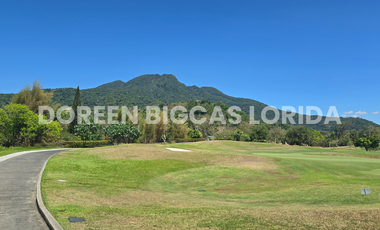 FOR SALE: 702sqm Village Residential Lot in Calamba Laguna - Ayala Greenfield Estates