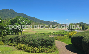 FOR SALE: 702sqm Village Residential Lot in Calamba Laguna - Ayala Greenfield Estates